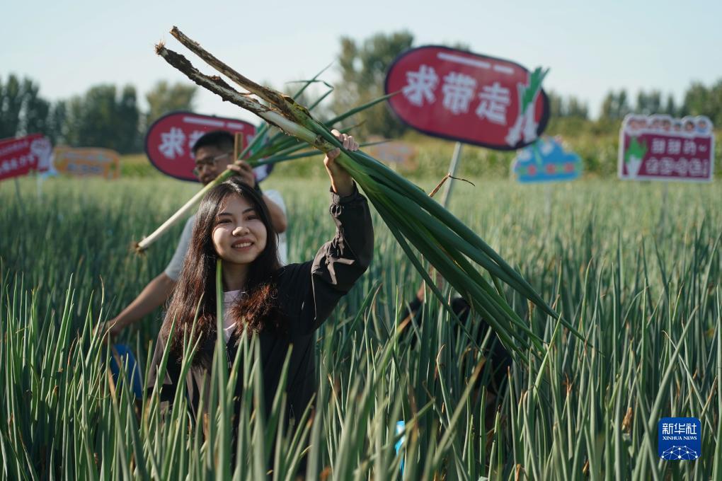 水果玛丽机破解版下载